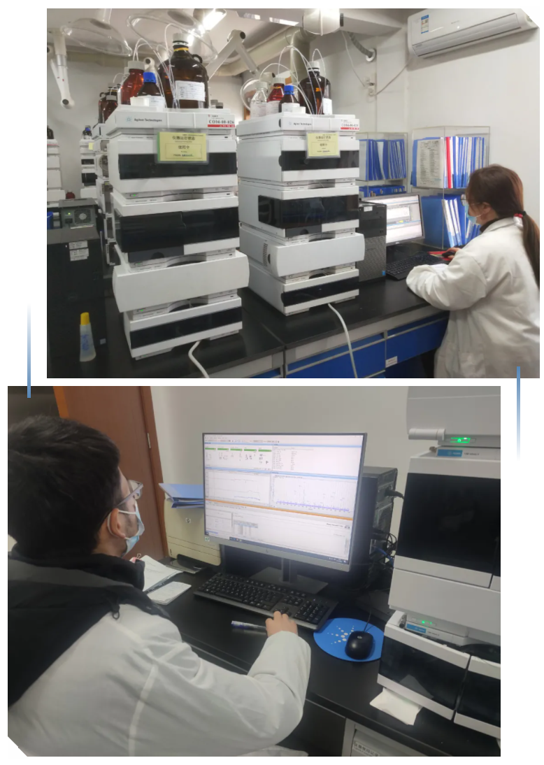 918������(�й���)�ٷ���վ